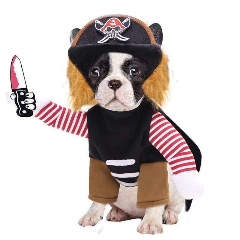 Halloween Costume for Pets -