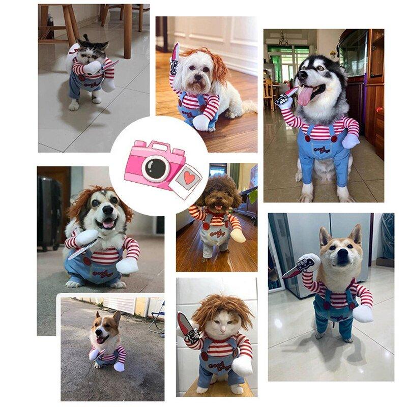 Halloween Costume for Pets