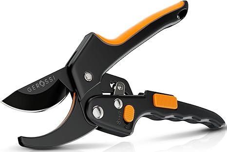 Ratchet Pruning Shears for Gardening