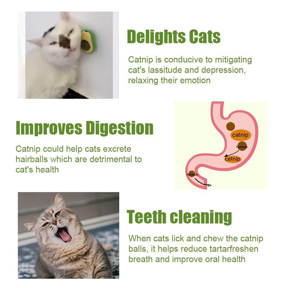 Avocado™ Rotatable Catnip Toy - Cleaning Teeth