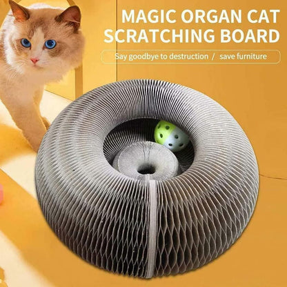 Magic Organ Cat Scratching Board