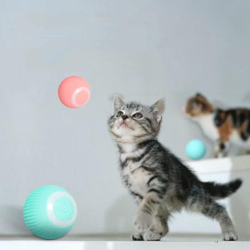 Smart Cat Interactive Ball Toys - 