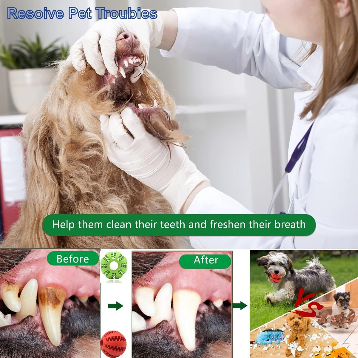 Tooth Cleaning Treat Ball Toy