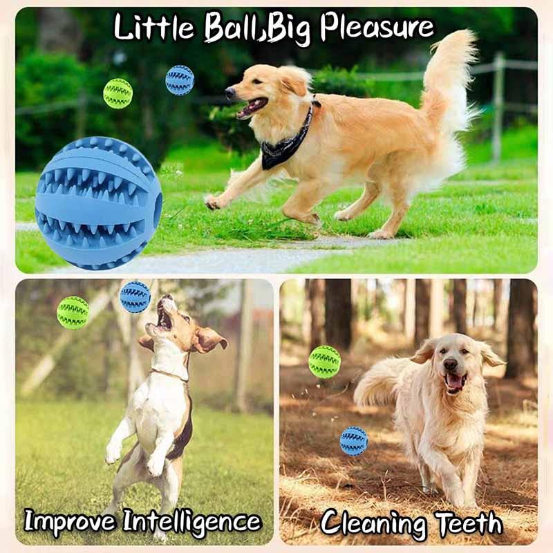 Tooth Cleaning Treat Ball Toy